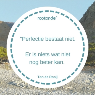 Perfectie bestaat niet