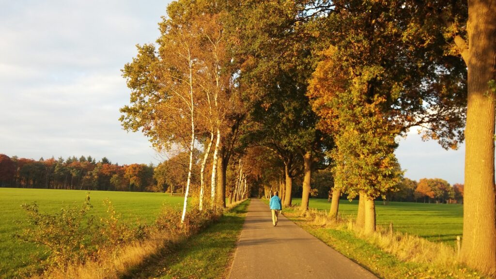 Ton de Rooij Life8